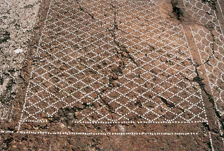 Aia Nuova Battuto cementizio del triclinio con reticolato a losanghe