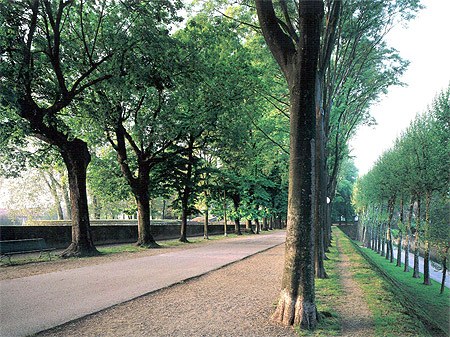 Mura di Lucca