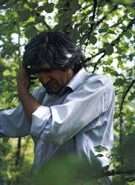 penone_1.jpg