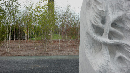 penone_6.jpg