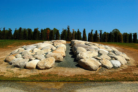 penone_7.jpg