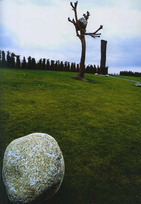 penone_8.jpg
